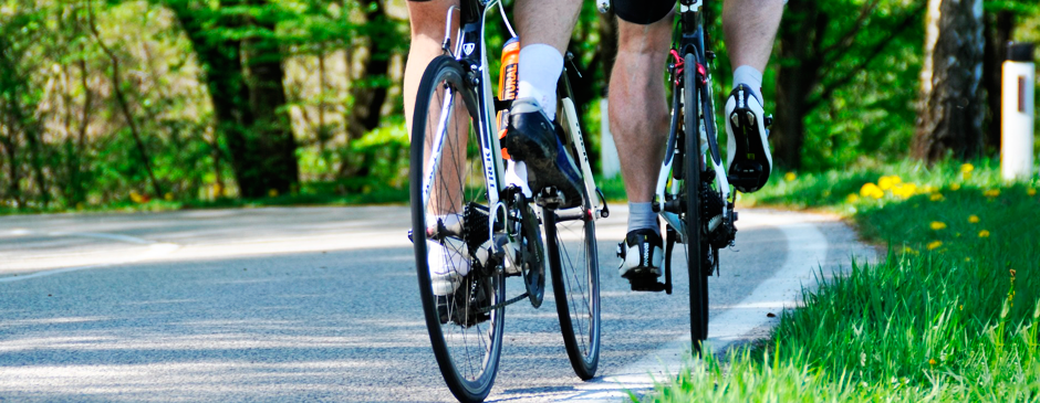 plantillas deportivas