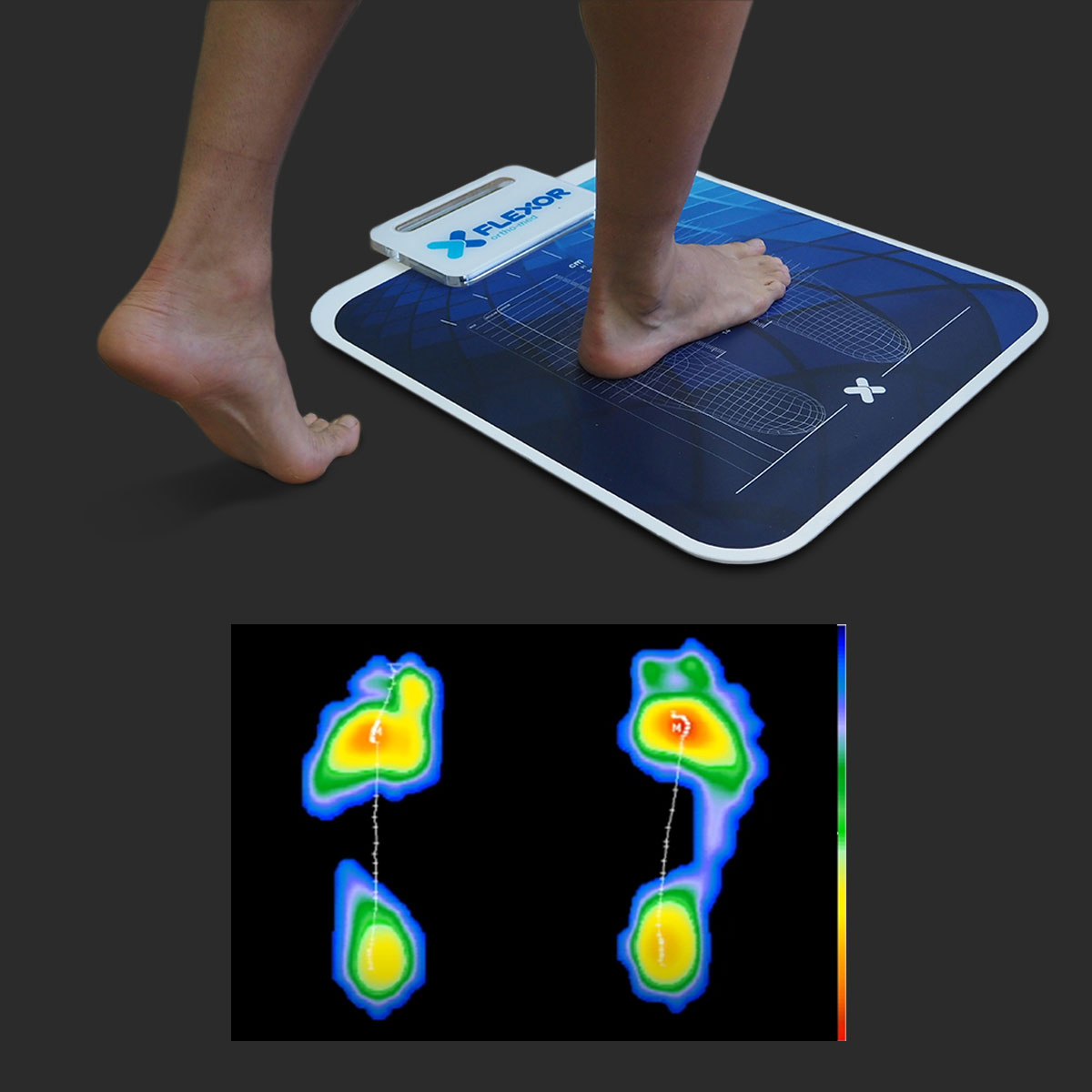 Plataforma de presiones Flex-Easy - Imagen 2